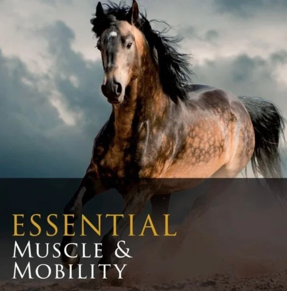 EquVici Muscle & Mobility 8kg